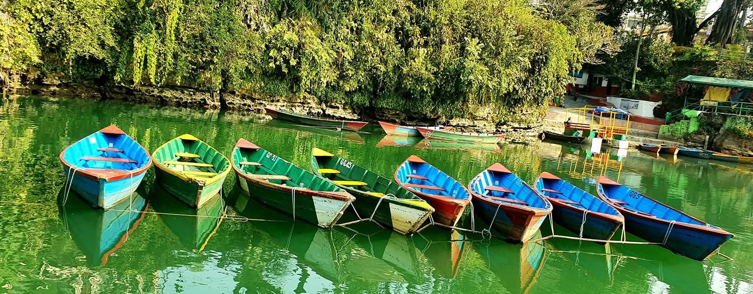 Row of painted rowing boats on the green water of Phewa Lake, Pokhara